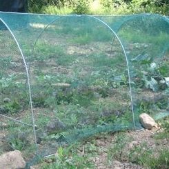 Novità - Serre per orto "CHIOCCIA"